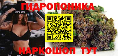 трава Апшеронск