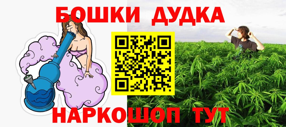 Бошки Шишки планчик Бердск